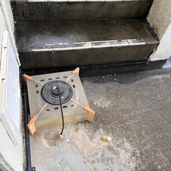 電気