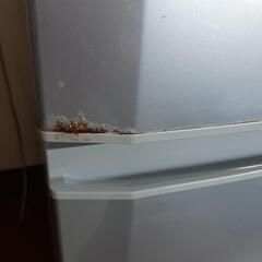 2ドア冷蔵庫　三菱の画像