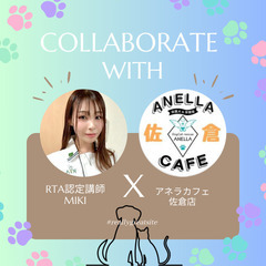 アネラカフェ佐倉店コラボ🎀ベビーマッサージ