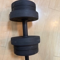 ダンベル10Kg 調整可能　プレートタイプの画像
