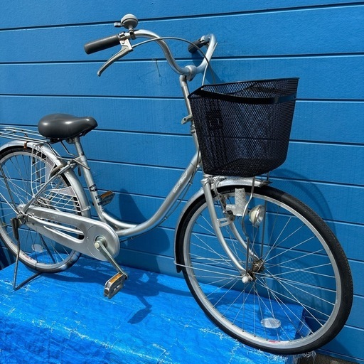 ECO   24インチ小柄な方え