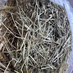 チモシー　オーツヘイ　ミックス　約6キロ