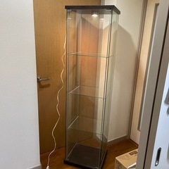 ショウケース　　　　　の画像