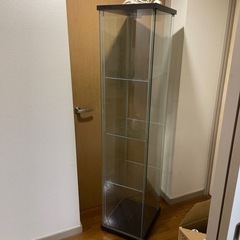 ショウケース　　　　　の画像