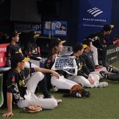 新規メンバー募集！(男女混合野球、毎週土曜日2試合)