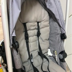 フィル&テッズ　ボイジャー　双子用ベビーカーの画像