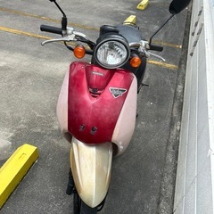 【受け渡し決定済】ホンダトゥデイ　原付　ほぼ不動車