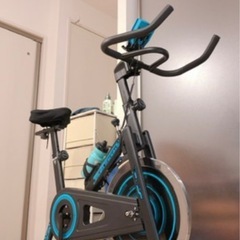 アルインコスピンバイクほとんど未使用