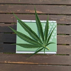 小口配送メイン【無理なく安定した日々を手に入れる】