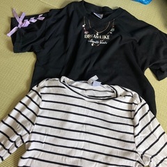 女の子Ｔシャツの画像
