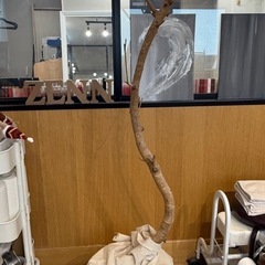 葉ナシエバーフレッシュの木170cm