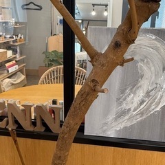葉ナシエバーフレッシュの木170cmの画像