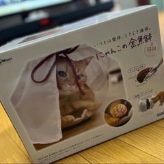 にゃんこの金魚鉢