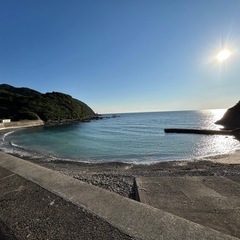 落ち葉掃除