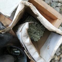 古道具 / 釘 コード 多数 / まとめ売り‼️の画像