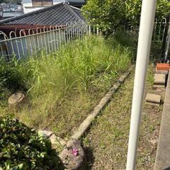 草刈り、草抜き