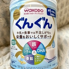 ぐんぐん　和光堂フォローアップミルク　300g