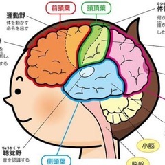 簡単な動きで脳🧠にアプローチ　講座