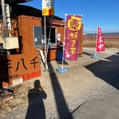 有田焼  ティーセットの画像