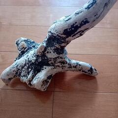 流木の画像