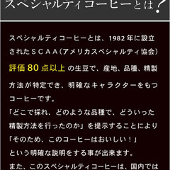 燃虎珈琲 ドリップバッグ 1袋 ※スペシャルティーコーヒー専門店の画像