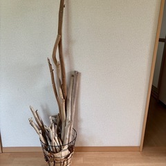 流木セット