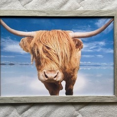 ハンドメイド　水牛　壁飾り