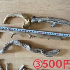 流木セットの画像