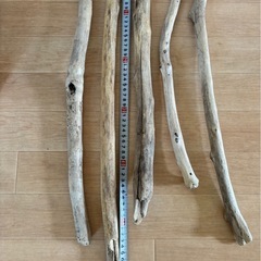 流木セットの画像