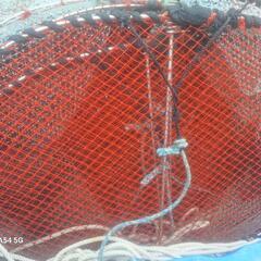 値下げしました！アナゴ籠魚籠