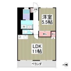 💜💙フリーレント1ヶ月付き💙💜敷礼ゼロ✨バストイレ別🌈宇都…