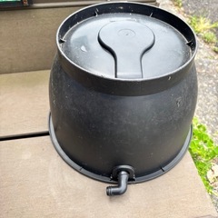 メダカなどの画像