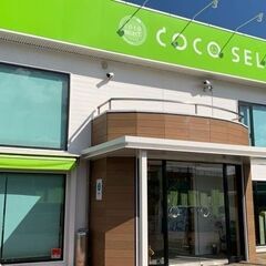 【ココセレクト新潟亀田店】未経験者OK!!　入社祝い金制度…