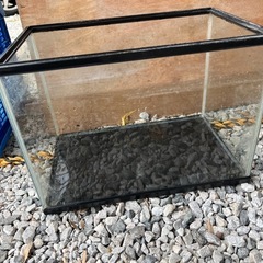 水槽(２)