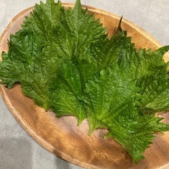 無農薬無添加　朝採れ大葉10枚