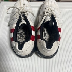 ミズノ　ゴルフシューズの画像