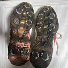 ミズノ　ゴルフシューズの画像