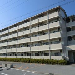 【敷金・礼金0円！】愛荘町/1K メゾン愛荘