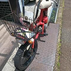 ホンダロードパル、MBX仕様。の画像