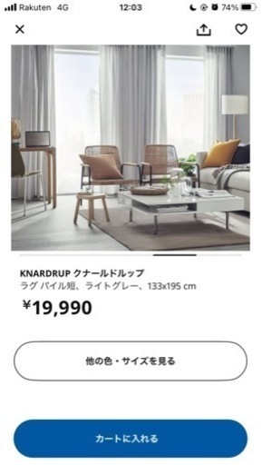 ラグ（IKEA クナールドルッブ）