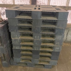 プラスチックパレット一枚800円