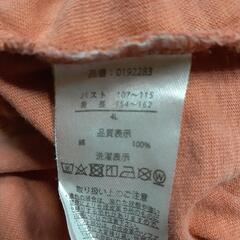 4Lレディース kitson Tシャツ 朱色の画像