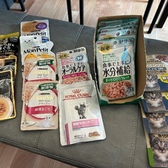 キャットフード　機能性食品　ウェットフード　猫のご飯　