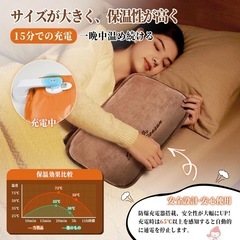 新品未使用❣️ 湯たんぽ 充電式　安心 腰痛や生理痛などの時にもの画像