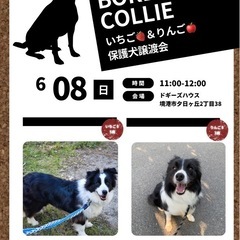 いちごとりんごの譲渡会