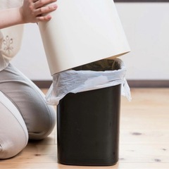 【美品】手持ち付き ダストボックス 白の画像