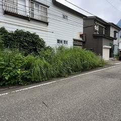 草刈りの事ならお任せ下さい！