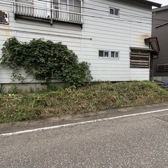 草刈りの事ならお任せ下さい！ - 剪定/造園