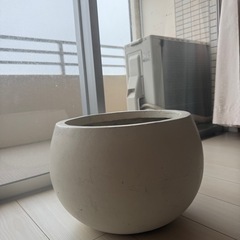 ※お取引中　植木鉢陶器　ホワイトの画像