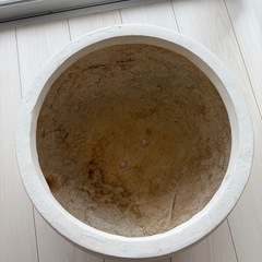 ※お取引中　植木鉢陶器　ホワイトの画像